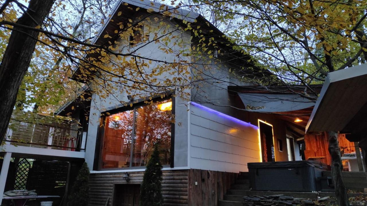 Forest Art Villa Zagreb Sveta Nedjelja  المظهر الخارجي الصورة