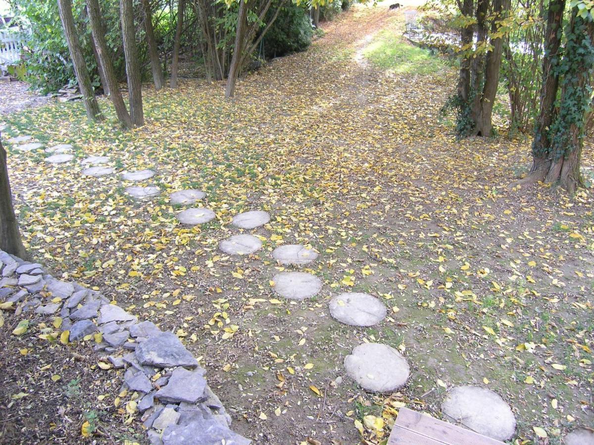 Forest Art Villa Zagreb Sveta Nedjelja  المظهر الخارجي الصورة