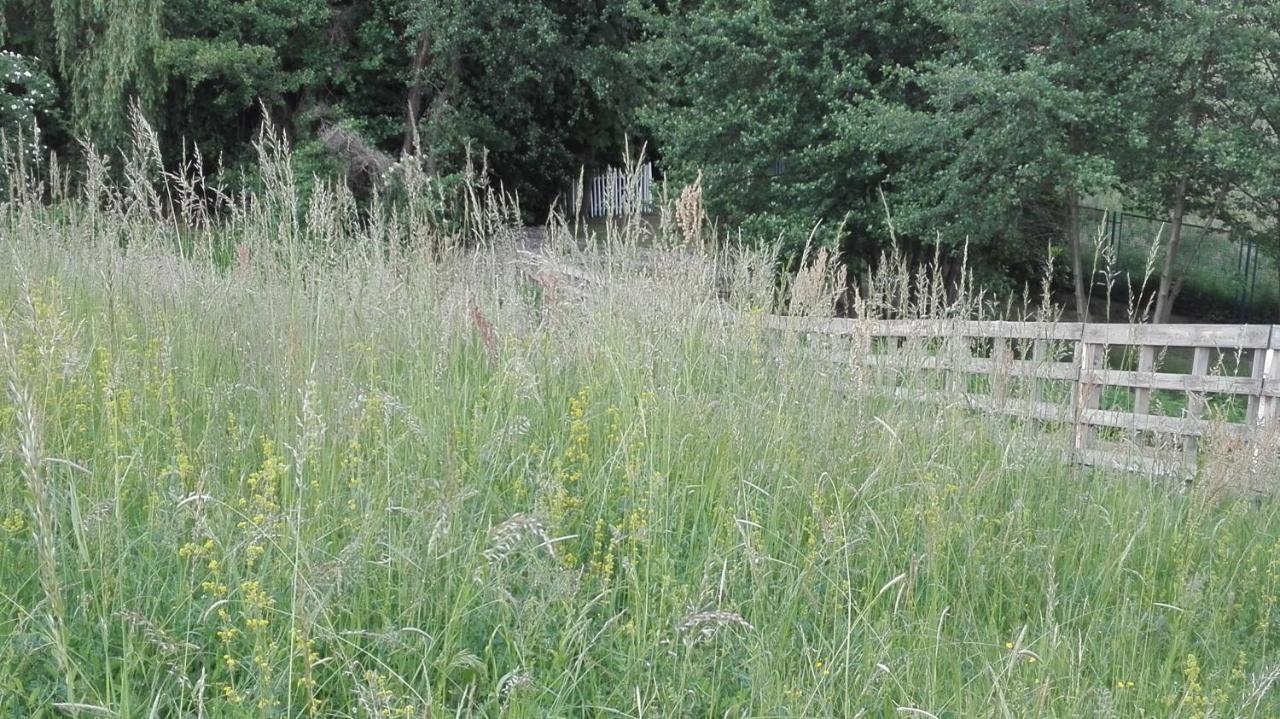 Forest Art Villa Zagreb Sveta Nedjelja  المظهر الخارجي الصورة
