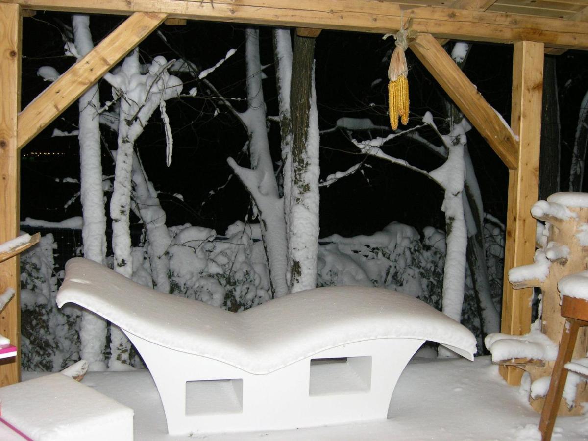 Forest Art Villa Zagreb Sveta Nedjelja  المظهر الخارجي الصورة