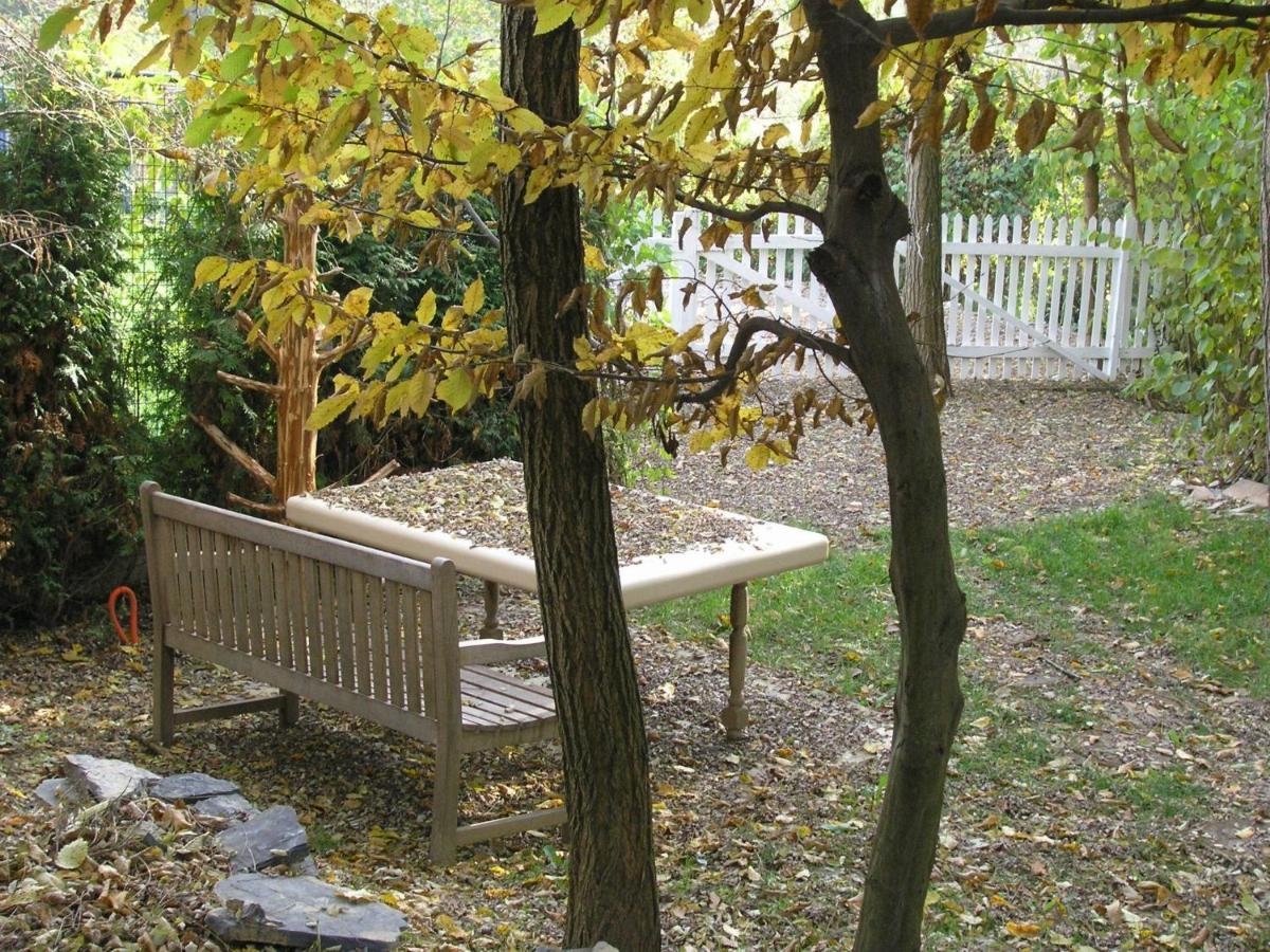 Forest Art Villa Zagreb Sveta Nedjelja  المظهر الخارجي الصورة